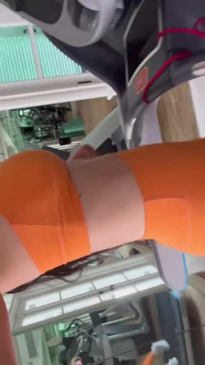 Gym Body (GFY)