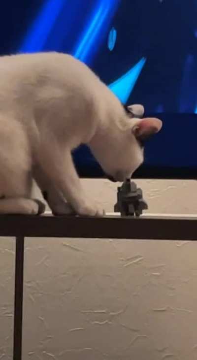 Put it back! No I don&rsquo;t think I will.