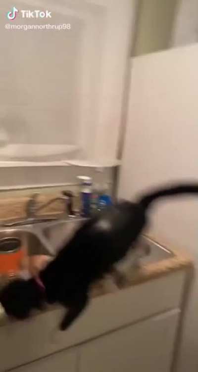 Bread thief