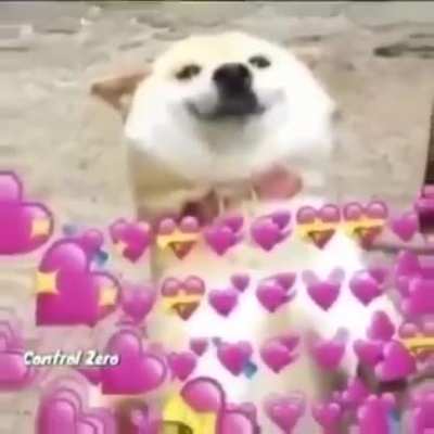 Ya es algo tarde para el POV, a&uacute;n as&iacute;, el v&iacute;deo es muy bonito. (Aplica para todas las mascotas).