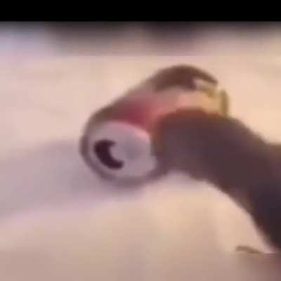 Fuck this can in particular