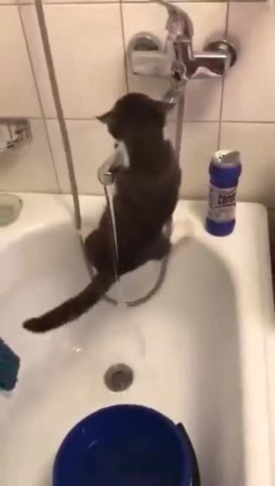 Никудышный ниндзя