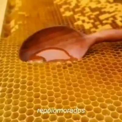 ANDATEEEEEEE