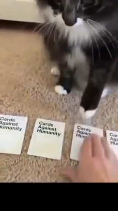 idk