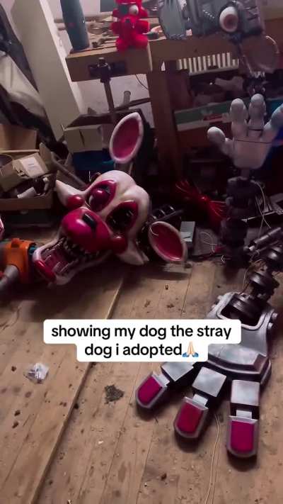 Subiendo memes de fnaf hasta que salga la secuela d&iacute;a 221