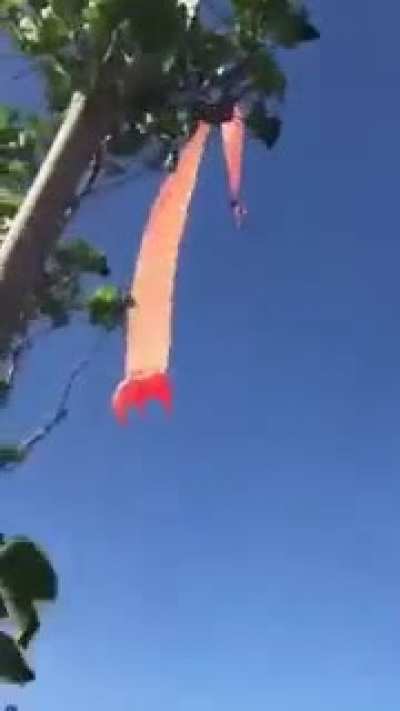Didnt let go of the kite ._.
