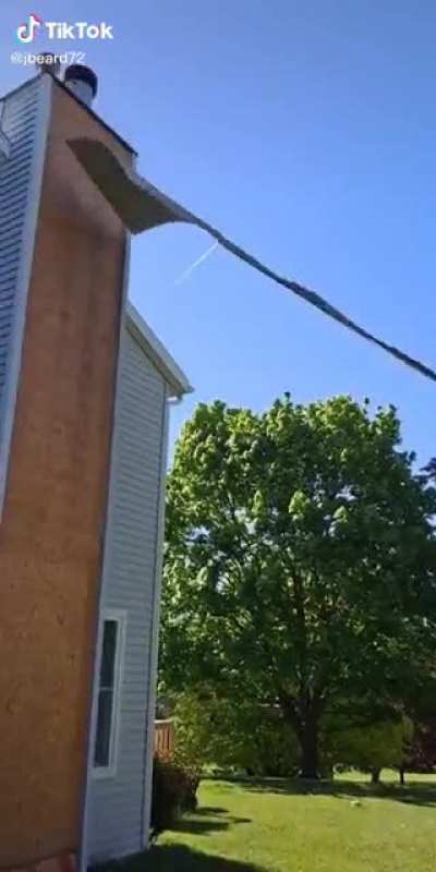 Fuck a wall
