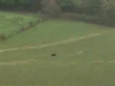 Jeder St&uuml;mper bekommt die Jagtkarte und ja am Ende steht unten links jemand. &Uuml;brigens w&auml;hrend man mit 0,5 Promille nicht mehr Autofahren darf sind 2 Promille und mit einer Waffe im Wald kein Problem. Versteht mich nicht falsch die meisten machen einen gut