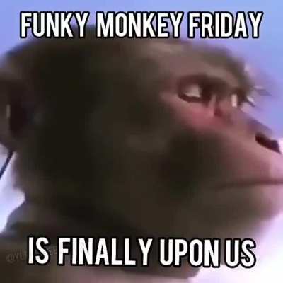 Another monke B)