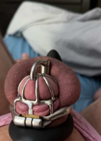 I didn’t think having a caged morning stump could get any more uncomfortable until I slept with a vibrating cock ring on it that internet strangers controlled ♒️🪵😵‍💫