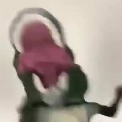Psic&oacute;logo: Todo sonho tem um significado. Meu sonho:
