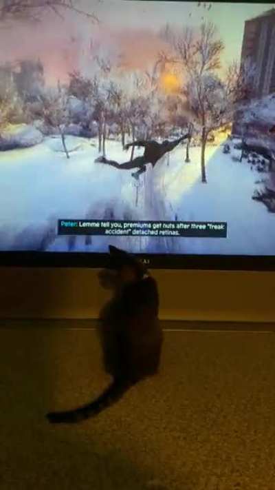 My cat, Astrid, silently and intently watched me beating up waves of Underground punks. I was finally able to get my phone out and capture her Spidey obsession. Too bad I didn&rsquo;t have the cat suit on!
