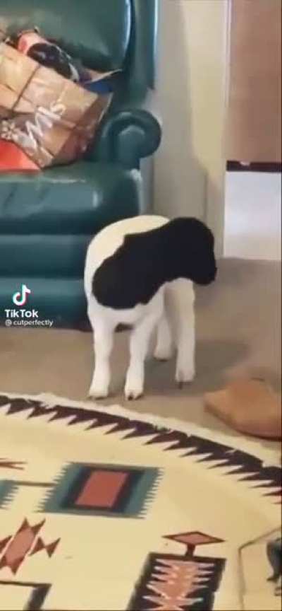 &Auml;&Atilde;H&mdash;
