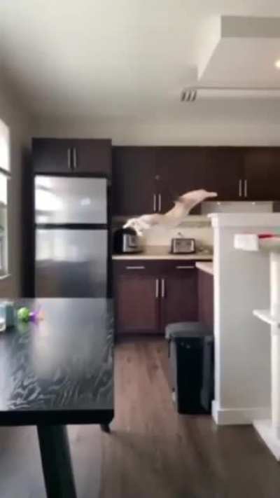 Somewhere&hellip;.something went wrong&hellip;..