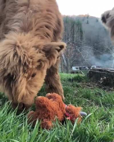 The kids have a toy