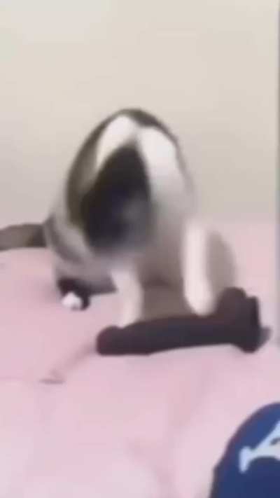 Então ne...