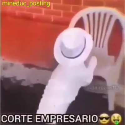 Perro