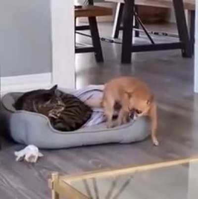 👀