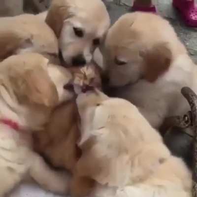 "We love you"