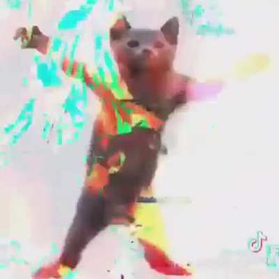 Holy shit