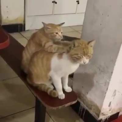 You look like you&rsquo;ve had a long day, bro