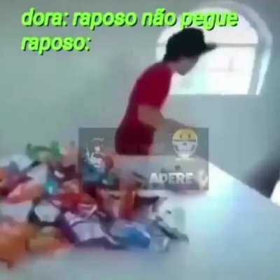 Raposo