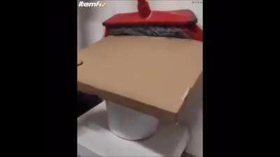Snake climbs into wall to scare nesting rats out