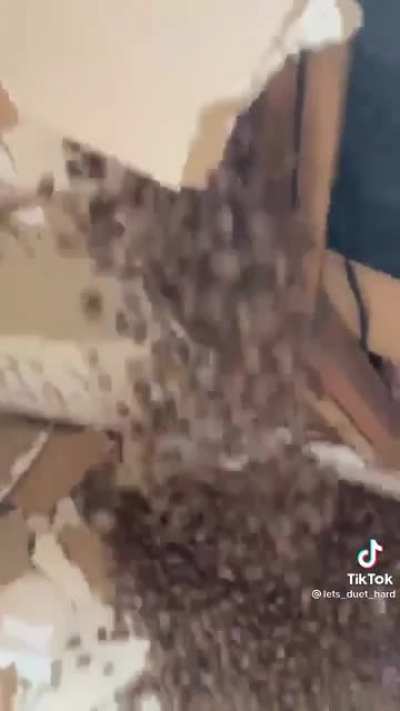 I know it&rsquo;s tiktok but this is absolutely NUTS!!