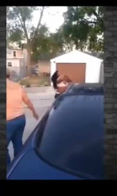 Black vs White catfight in driveway between two Rubenesque women 