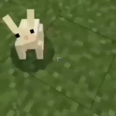 WTF