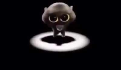 paraparapo