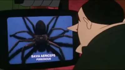 Gei spoida