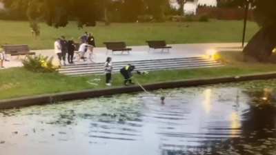 Awesome Woman saves kittens after they've been thrown into a river