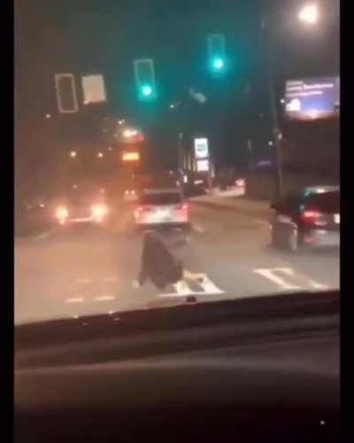 Traffic stopperz