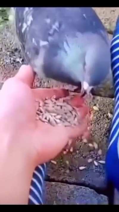 Do not bite the finger that fed you