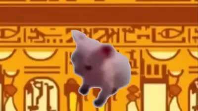 como baila esa gata