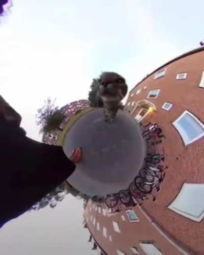 the