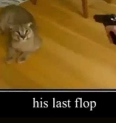 😭