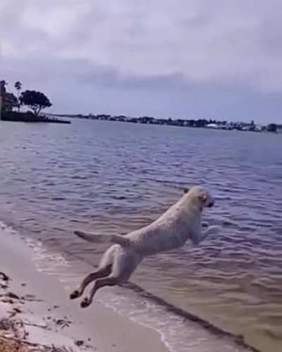 when he came to the sea for the first time in a year