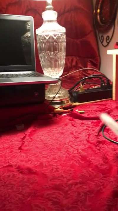fetchBirb