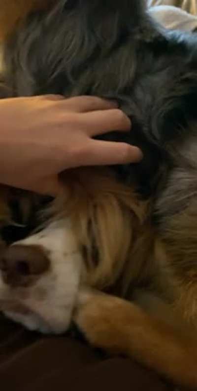 &ldquo;What? He wouldn&rsquo;t get out of my spot&rdquo;