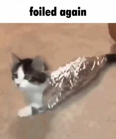 Nyah Mrrp Mrow (I&rsquo;m being held as a prisoner of war)