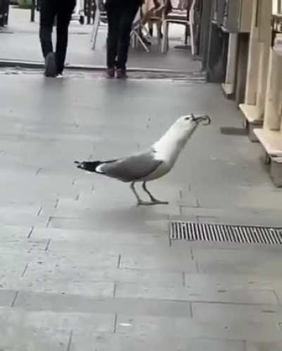 Seeh-ghal: devourer of rats and keeper of souls