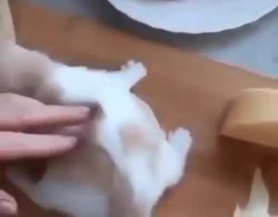 Comida en michigan