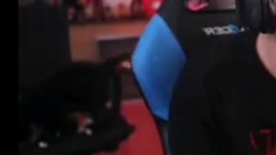 A d&oacute;nde fue Wilson
