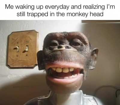 RELEASE ME