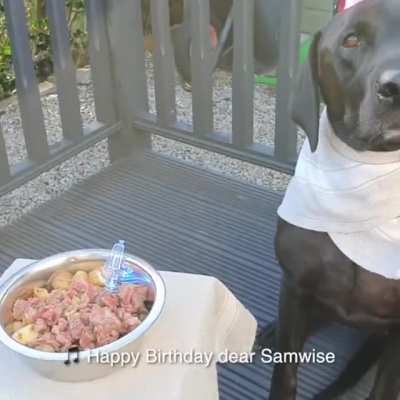 Happy birthday, faithful friend!