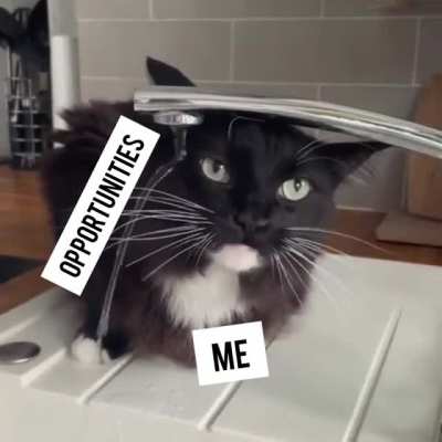 2meirl4meirl