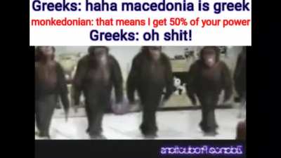 Monkeys are at it again!!!