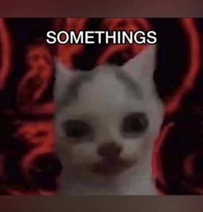 Blursed_cat